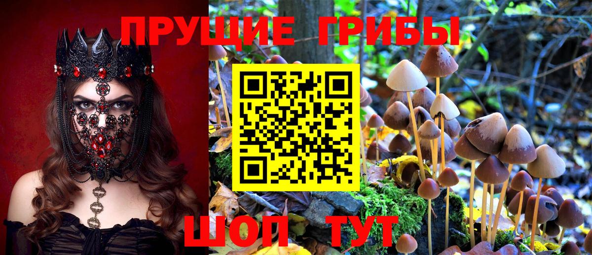 Майкоп  сколько стоит  Вход с VPN  Галлюциногенные грибы ЛСД 
